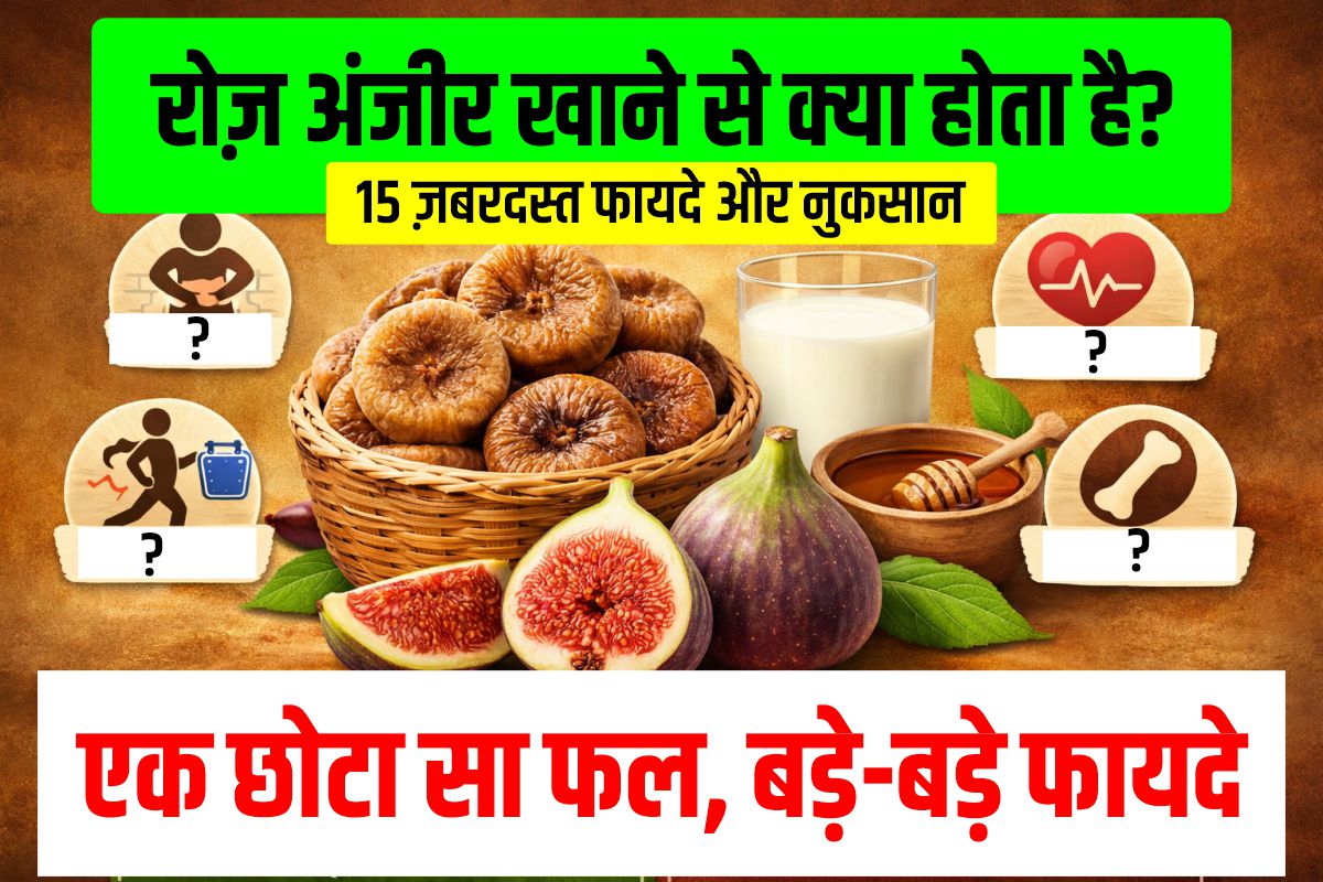 You are currently viewing रोज़ अंजीर खाने से क्या होता है? 15 ज़बरदस्त फायदे और नुकसान